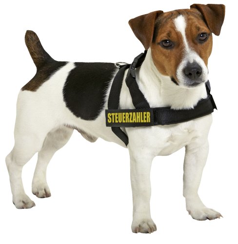 Karlie 69901 Doggy Talk Geschirr Schw, 25 mm, 60-76 cm Preisvergleich
