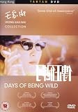 Days Of Being Wild [1990]