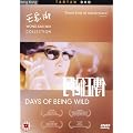 Days Of Being Wild [DVD] [1990]