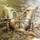 Blue Birds Refuse to Fly - Anapteroma