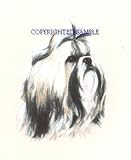 Shih Tzu - Portrait by Cindy Farmer