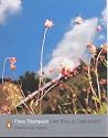 Lark Rise to Candleford (Penguin Modern Classics)