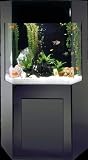 Shadow Box Aquarium