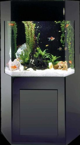 Shadow Box Aquarium