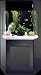 Shadow Box Aquarium