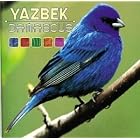 Click here to buy Damascus by  Yazbek .