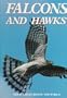 Falcons and Hawks (Great Creatures of the World)