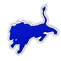 Detroit Lions Team Logo Car Magnet