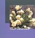 Books : Tulip Obsessed