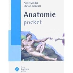 Anatomie pocket