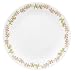 Kitchen & Housewares : Corelle Livingware 10-1/4-Inch Dinner Plate, Meadow