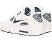 NIKE Men's Air Max 90 Ltr Running Shoe