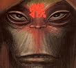 Monkey: Journey To...