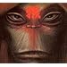 Monkey: Journey to the West
