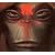 Monkey: Journey to the West