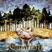 Music : Emotion