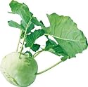 amorebio Bio Kohlrabi weiss 1 Stk