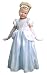Cinderella Princess Complete Dress Set - Includes all Accessories