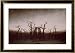 Abbey in the Oakwood, 1810 Styles Framed Art Poster Print by Caspar David Friedrich, 40x28
