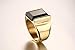 Fashion Stainless Steel Gold Plated Vintage Square Black Agate Signet Rings for Men, Gold,Size 9