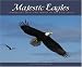 Majestic Eagles: Compelling Facts and Images of the Bald Eagle