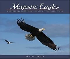 Majestic Eagles: Compelling Facts and Images of the Bald Eagle