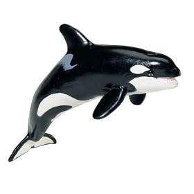 Killer Whale, Monterey Bay Aquarium, Scale 1 40 by Monterey Bay Aquarium