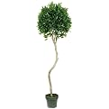 Bayleaf Topiary Tree With pot - Green(12 x 14 x 60")