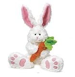 Knowing God: Walking through the Book of Books