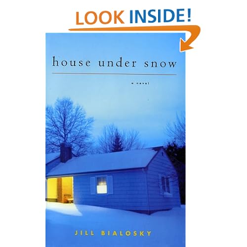 House Under Snow