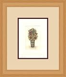 Fresh Flowers by David Olson - Framed Artwork
