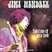 Le meilleur de Jimi H.