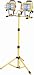Tools & Hardware : Designers Edge L-14SLED Home Light Two-Light 1000-Watt Halogen Work Light with Tripod