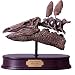 Stegosaurus Skull, Dinosaur Polystone Statue, Scale 1/4