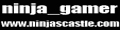 ninja_gamer