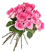 Elegant Pink Roses