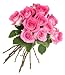 Elegant Pink Roses