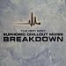 The Very Best Euphoric Chillout Mixes Breakdown - NOT - Euphoria: Hard House, Vol. 2