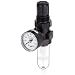 Dixon B07-202AG Norgren Series Automatic Drain Miniature Filter/Regulator with Transparent Bowl, 21 SCFM, 1/4" Port Size, 150 PSI