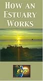 Review   / How an Estuary Works