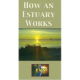 How an Estuary Works [VHS]