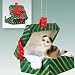 Tortoise & White Scottish Fold Green Gift Box Cat Ornament
