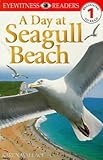 A day at Seagull Beach
