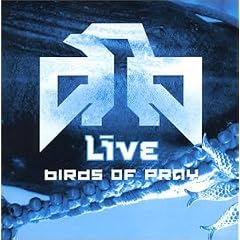 Birds of Pray