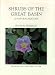 Book Shrubs Of The Great Basin: A Natural History (Max C. Fleishmann Series in Great Basin Natural History)