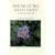 Shrubs Of The Great Basin: A Natural History (Max C. Fleishmann Series in Great Basin Natural History)