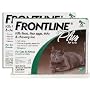 Frontline Plus for Cats 12 month