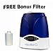 FACTORY CLOSEOUT Eva-Dry Ultrasonic Humidifier with Adjustable Digital humidistat, cool mist humidification and FREE Bonus replacement Filter