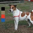 Premier Easy Walk Harness Large, Royal Blue and Navy Premier Easy Walk Harness Large, Royal Blue and Navy