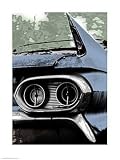 Blue Shark by Chris Williamson. Size 19.00 X 26.50 Art Poster Print